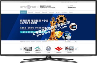 閔行網站制作與設計 打造專業高效的數字形象